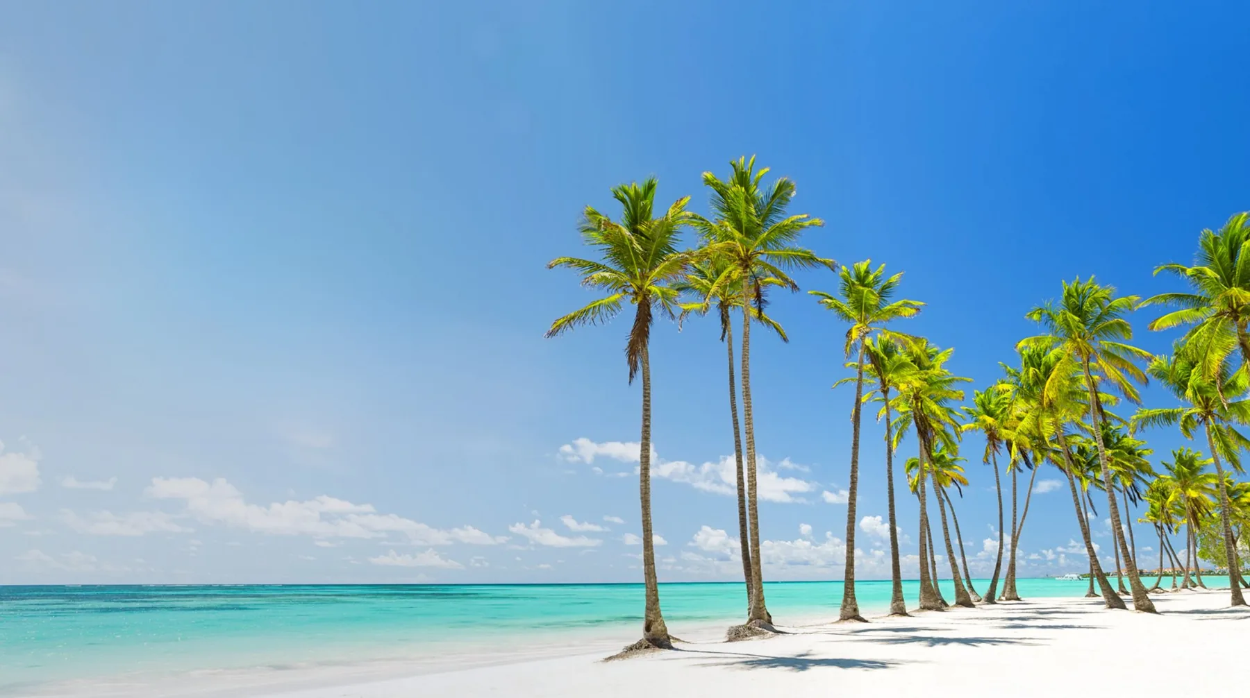 Playa de Cap Cana